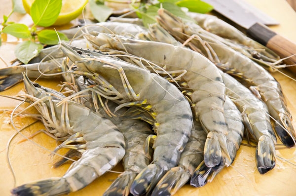 Black Tiger shrimp for tempura: how to cook them and the characteristics